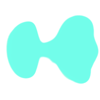 VVW Logo